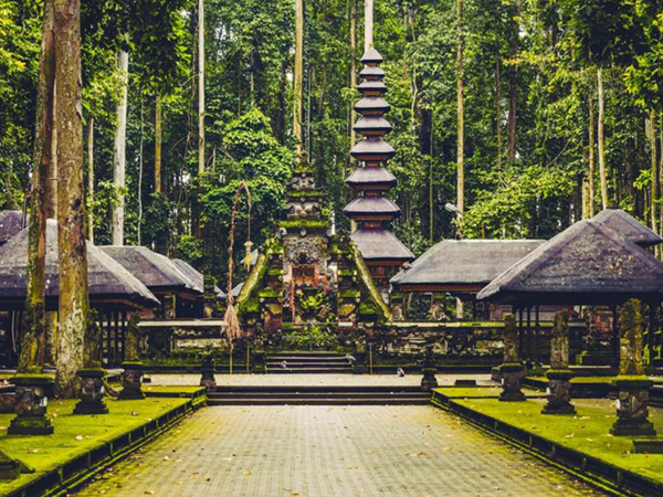 Sacred Monkey Forest Ubud